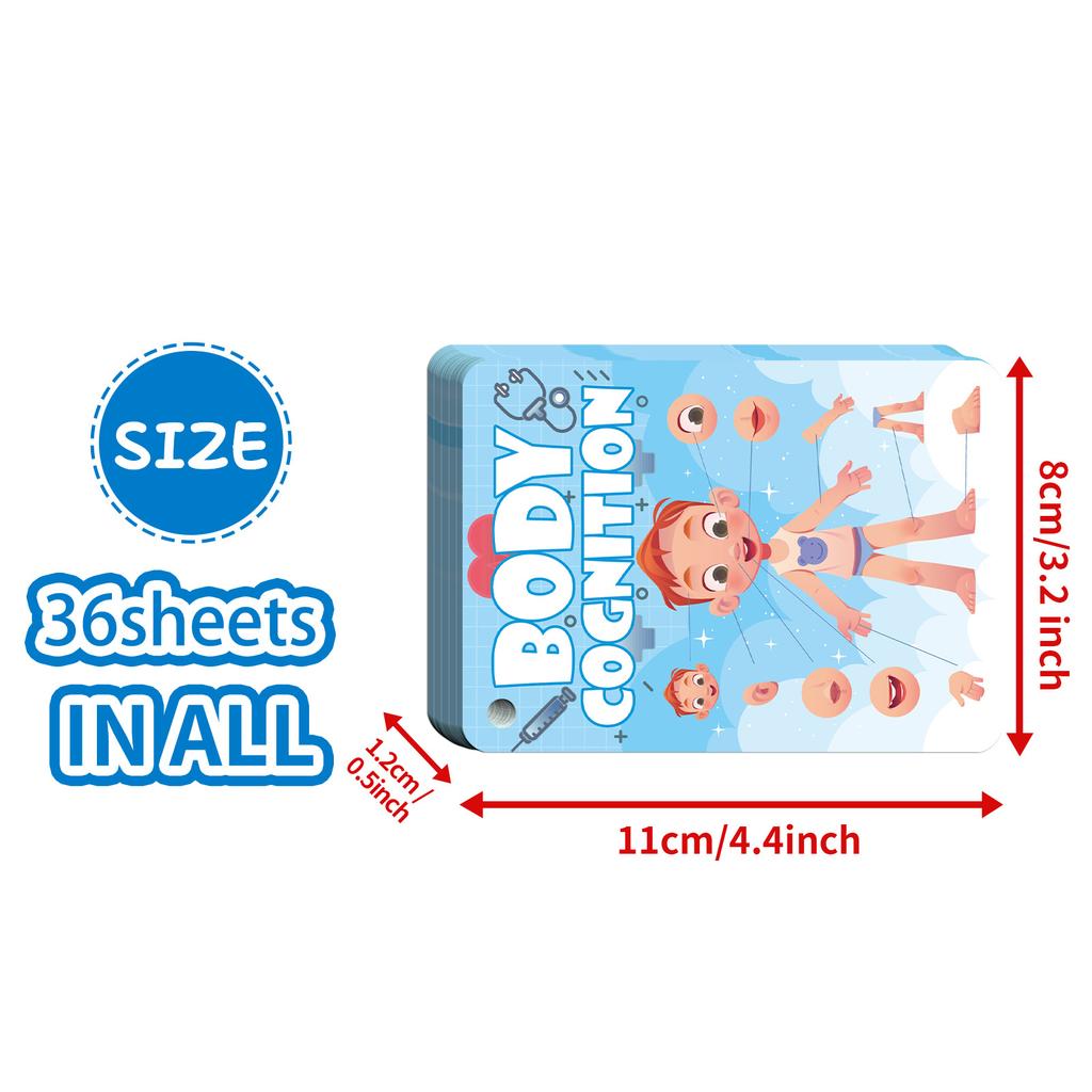 36 Карточек для познания тела Детское просвещение Образовательные познавательные карточки Обучающие карточки