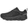 Challenger Low Gore-Tex Comfortable Versatile Shock Absorbing Waterproof Supportive Low-Top Running Shoes Men Sneaker Black 1106517-BLK