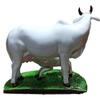 Handicraft Decorative Polystone Cow and Calf Big Statue/Idol for Gift Home Decor 7 Inch (Marble Cow), White