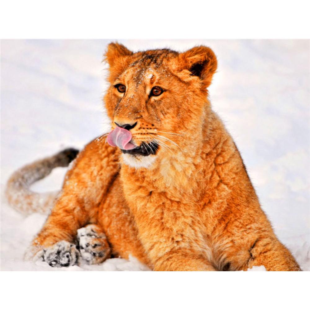 Полный квадратный/круглый алмазная живопись черный, красный пейзаж 5D Алмазная вышивка распродажа портрет цветок 5D DIY мозаичное украшение