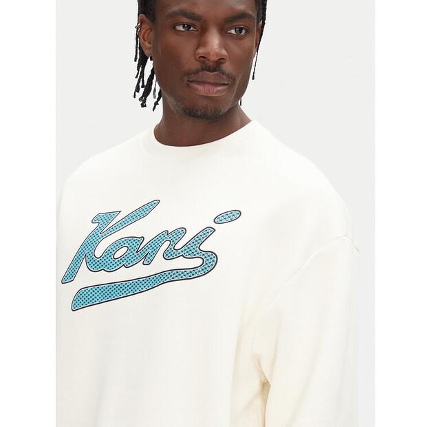 Толстовка Karl Kani Varsity Palm