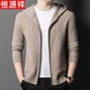 Мужской кардиган на молнии с капюшоном из 100% толстой шерсти