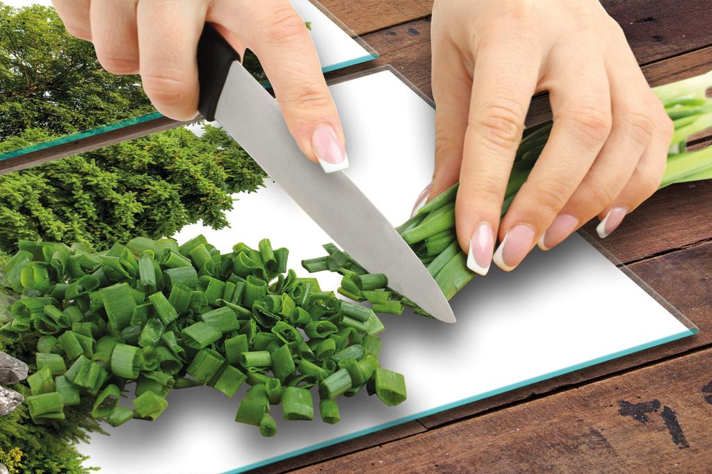 СТЕКЛЯННАЯ ЗАЩИТНАЯ ПАНЕЛЬ ДЛЯ КУХНИ 2x35x52 ДЕРЕВЬЯ