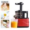Juicer Machines Slow Masticating Juicer Extractor Cold Press Juicer Easy To Clean Brush Quiet Motor for Vegetables Fruits