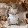 Elasticity Squirrel Diapers Breathable Squirrel Underwear  For Guinea Pigs, Squirrels
