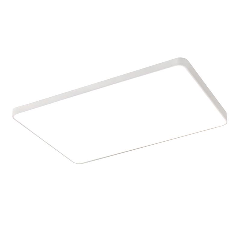Oeny Elegant White Full Spectrum LED Ceiling Light
