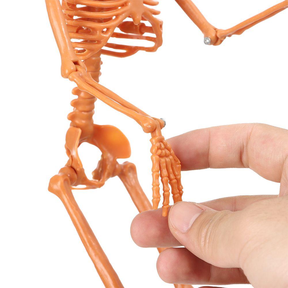 Анатомические Игрушки Реквизит для Фотосъемки Фигурка Тела Тыква Череп Хэллоуин Человеческий Скелет Кость Модель