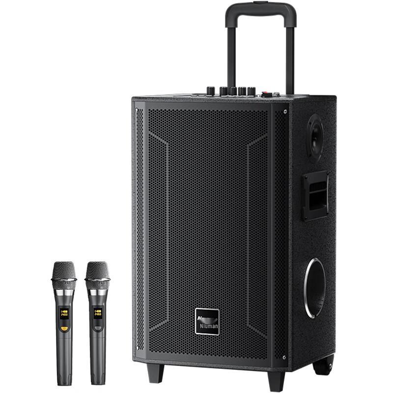 Портативная Bluetooth-колонка KTV Newsmy N537, 12 дюймов, китайская вилка (адаптер в комплекте)