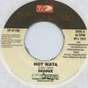7-дюймовая пластинка GENERAL DEGREE / DA'VILLE - Hot Wata / Bounce U Right VP01770 VP US 2004 US Регги, Ска и Даб