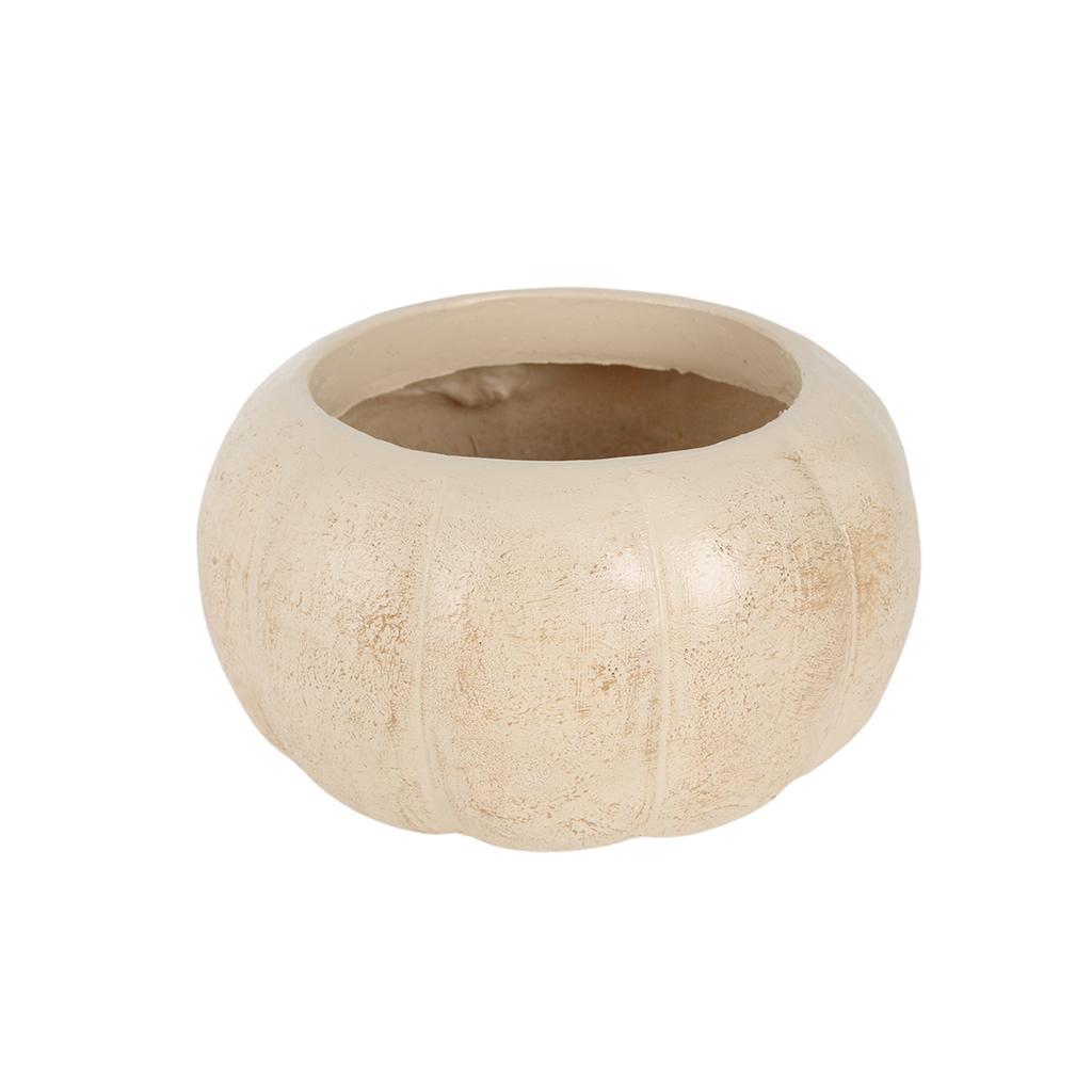 Cushaw Halloween Decorations Scene Arrangement Flower Pots Garden Decoration