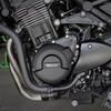 Защита двигателя Z900RS для KAWASAKI Z900RS и Z900RS SE Крышка двигателя Защитные крышки для мотоцикла Комплект защитных чехлов 2018-2023