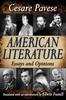 Книга American Literature : Essays and Opinions
