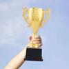 Соревновательный трофей с базой Персональный призовой трофей Приз за творческие достижения Наградной трофей для спортивных турниров