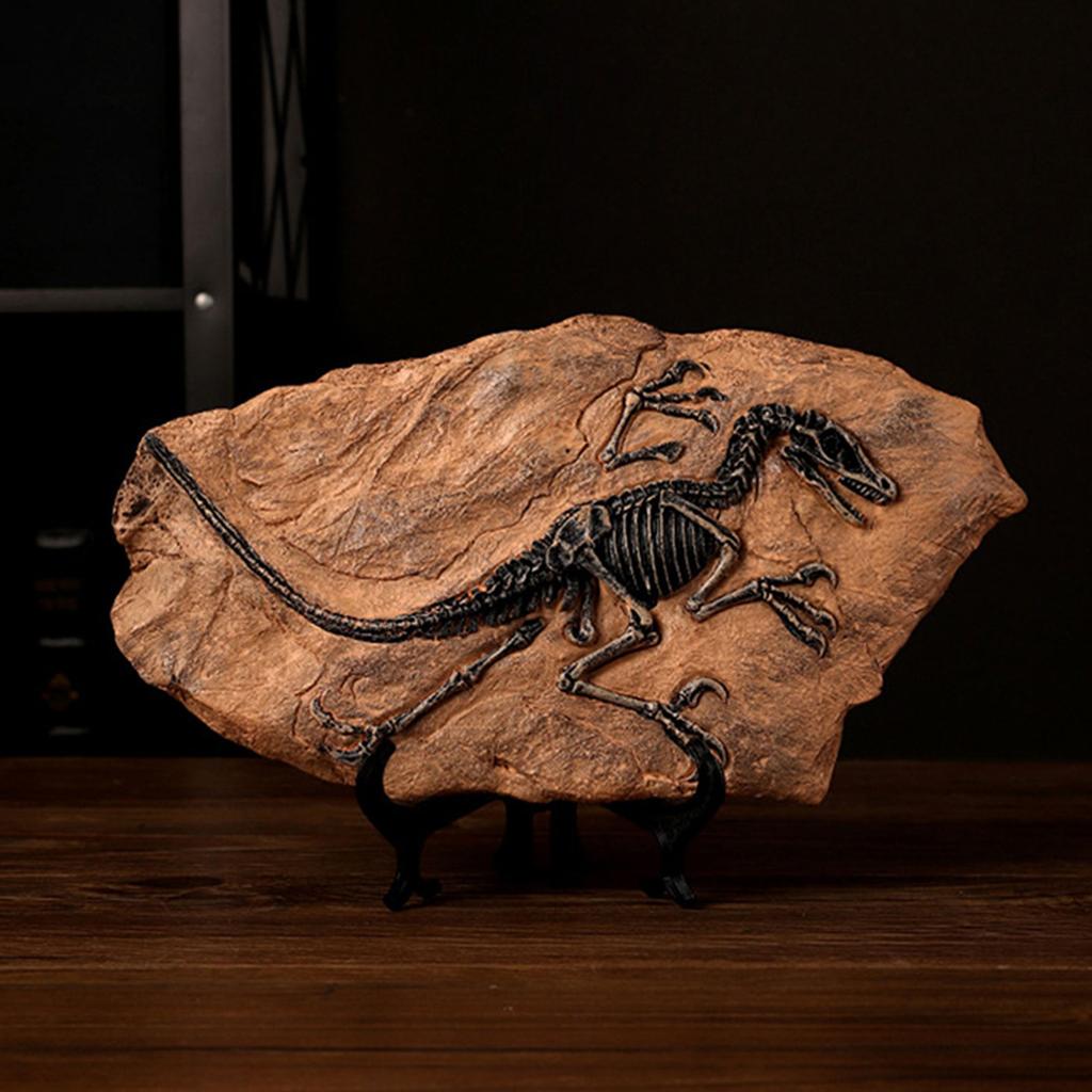 Handcrafts Dinosaur Fossils Model Simulated Dinosaur Skeleton Resins Statue Figurine for Home Decors and Educational Use