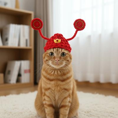 Удачный Год Китайский Стиль Шапка Кошка Удача Ручная Вязка Теплая Вязаная Шапка для Питомца Благословение Традиционный Берет для Питомца Костюм