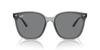 RB4423D Transparent Grey 66 Sunglasses Ray-Ban
