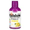 Liquid Calcium, Magnesium Citrate & Vitamin D3, Lemon Flavor, 16 Fl Oz (473 Ml)