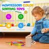 Montessori Toys For 2 3 4 Years Old, 3 In 1 Educational Sensory Color Sorting Toys For Toddlers 1-3
