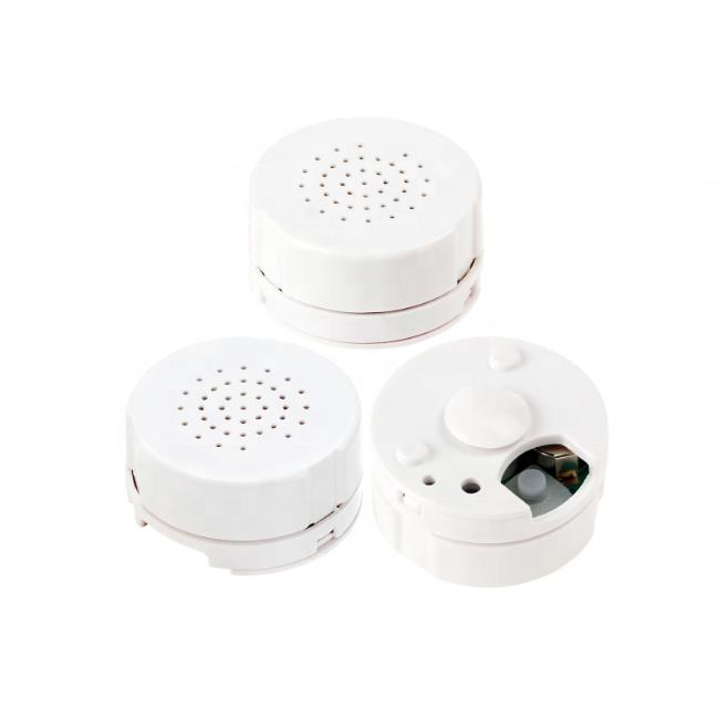 Custom 30 Seconds Duration Recordable Push Button Sound Modules for Baby Plush Toy-Unisex ABS Material