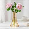 1 Pcs Metal Vase for Home Decor, Living Room, Bedroom, Office, Table Centerpiece | Propagation Station with Metal Frame Test Tube Glass Items
