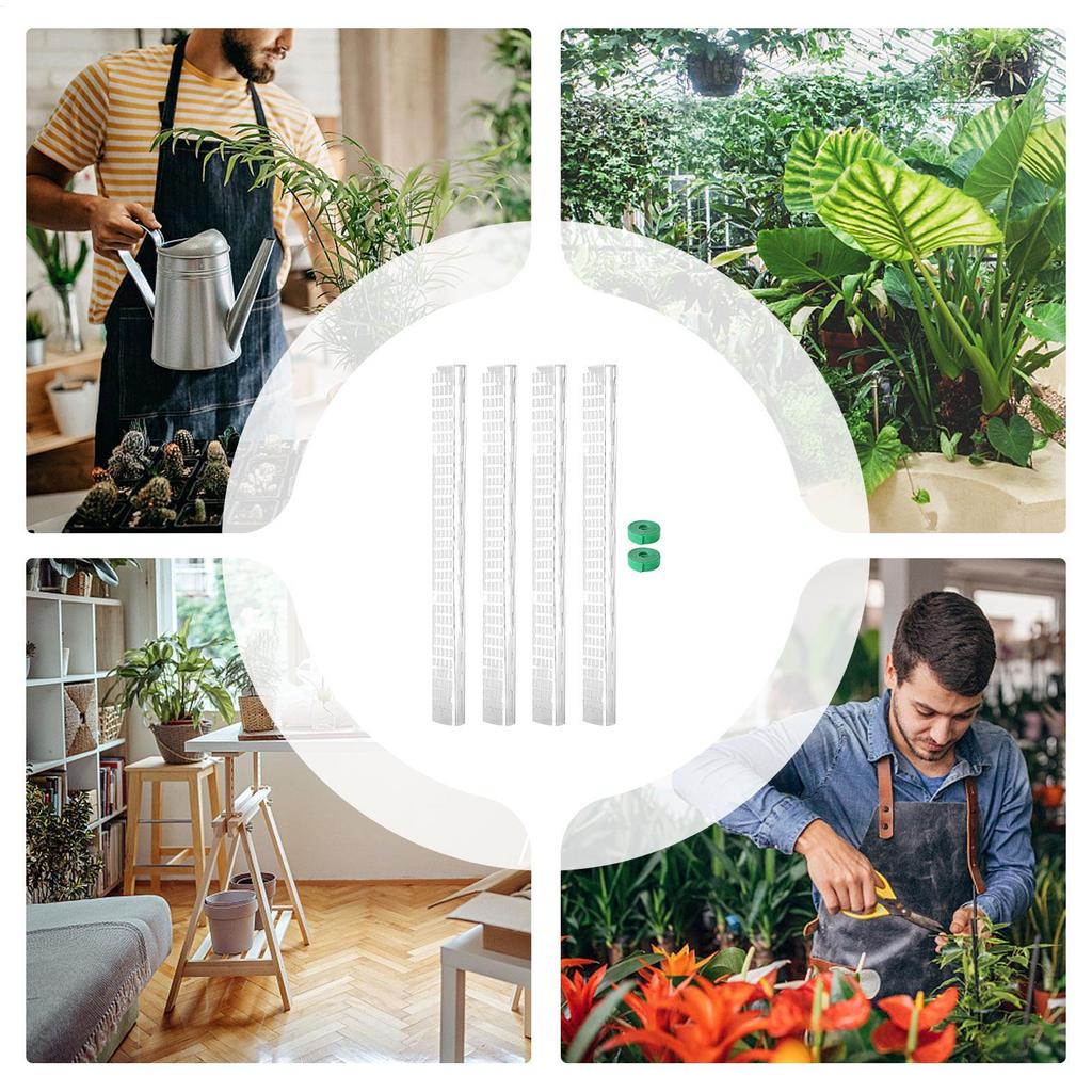 4pcs Plastic Plant Cages Supports Moss Pole Vertical Growth Support Sticks Monstera Plant Support For Climbing Plants 24x4 Inch