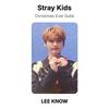 Stray Kids Рождественский вечер Официальная фотокарточка Subk
