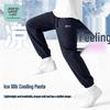 Мужские повседневные спортивные штаны Jeanswest из охлаждающей ледяной шелка