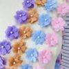 Eugen Yarn Embroidery Double-Layer Flower Three-Dimensional Handmade Bead Cloth Sticker Diy Clothing Wedding Lace Accessories