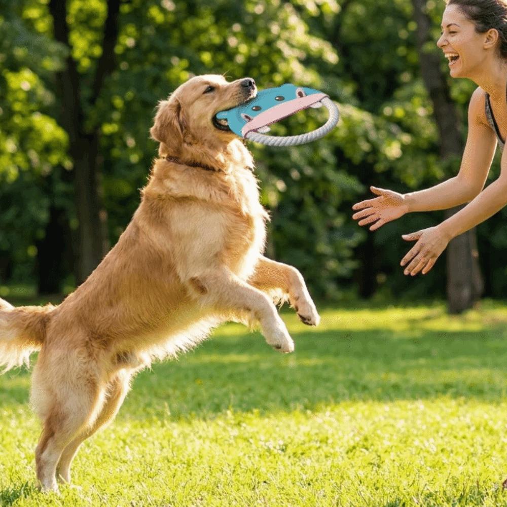 Bite-Resistant Interactive Dog Toy Durable Puppy Chew Toy Pet Teeth Cleaning Toy Outdoor Game