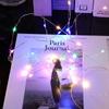 Party Wedding ChristmasTree Garland Lamp Fairy String Lights LED  Wire Lights
