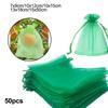 Organic Fruit Protect Bag Breathable Material for Tomatoes and Grapes