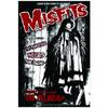 Vintage Hardcore Horror Punk The Misfits Live Photo Music Concert Art Poster Canvas Painting Wall Prints Picture Room Home Decor