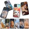 Чехол для Motorola Moto G04 G13 G14 G22 G23 G20 G32 G34 G35 G64 G82 G84 G53 G60 G72 E14 E15 E13 E22 E20 Чехол для телефона Котёнок Кошка