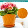 Pack of 5 Round Flower Pots for Home Planters, Terrace, Garden Etc | Multicolor | Suitable for Home Indoor & Outdoor Gardening Plants