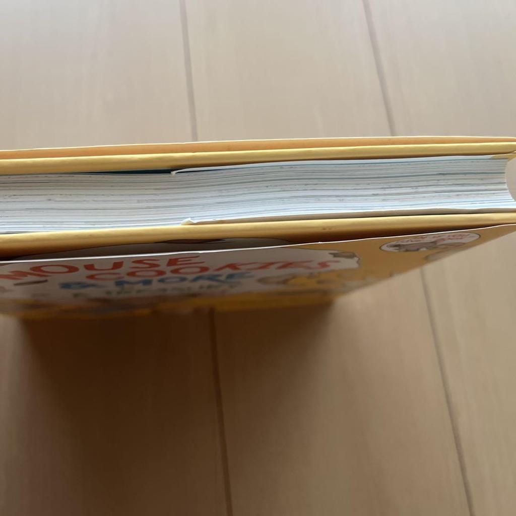 [Б/У] МЫШЬ COOKIES & MORE СОКРОВИЩНИЦА Английская Книжка с картинками