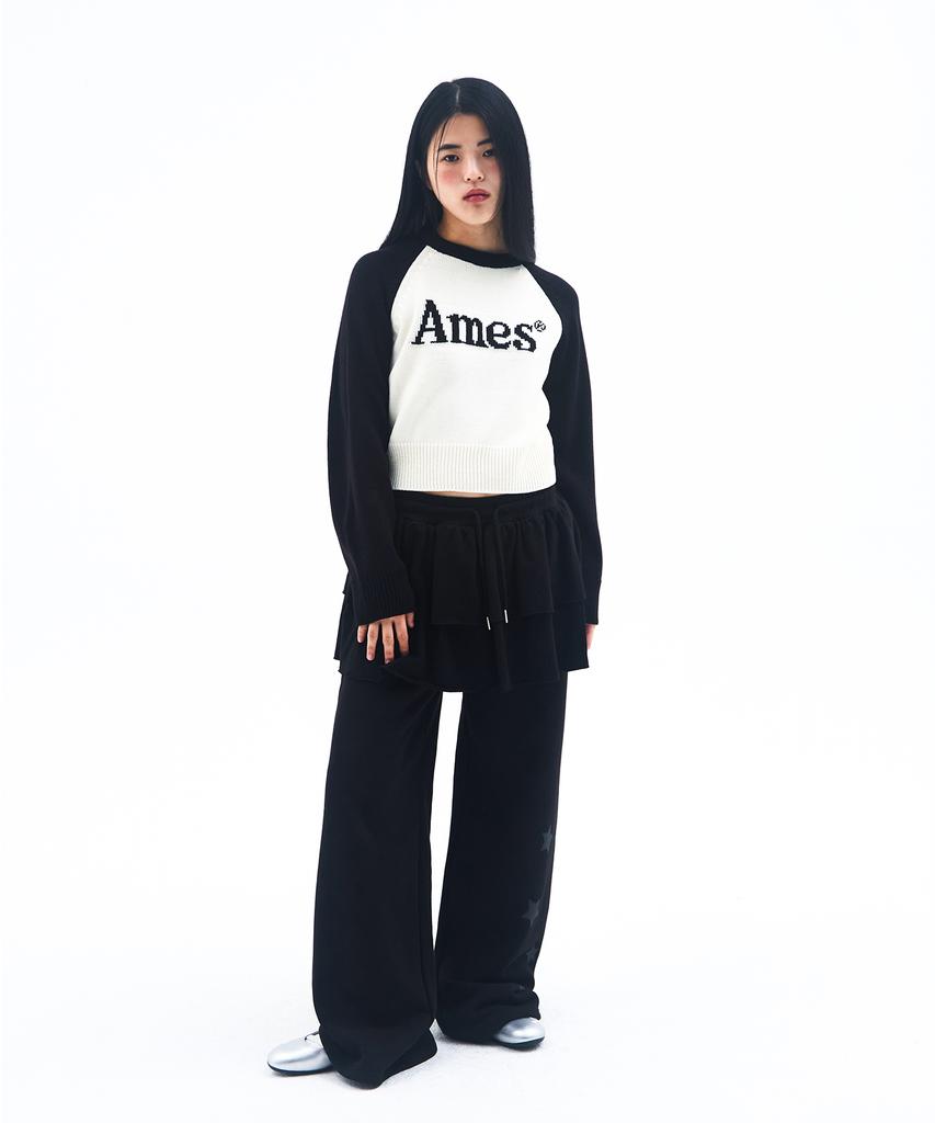 AMES-WORLDWIDE Basic Raglan Pullover Knit Ivory
