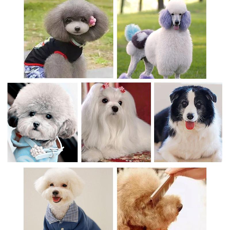 Ножницы для ухода за собаками, кошками, 6,69 дюйма, плоские безопасные круглые кончики, ножницы с изогнутым лезвием, острые парикмахерские ножницы от кашля для домашних животных