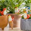 4 Pcs Bird Shaped Self-Watering Spikes Terracotta Clay Plant Watering Globes Planter Pot