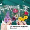 Dried Flower Bookmarks, Handmade DIY Materials, Transparent Specimen Bottles, Spring Homemade Embossing