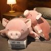 50/80cm Big Nosed Pig Plush Toy Soft Plush Fill Pink Pig Pillow Room Sofa Decoration Cushion Girlfriend Birthday Gifts