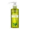 Antioxidant Hydrophilic Washing Gel with Green Tea Extract Hydrophilic Cleanser 150 Ml