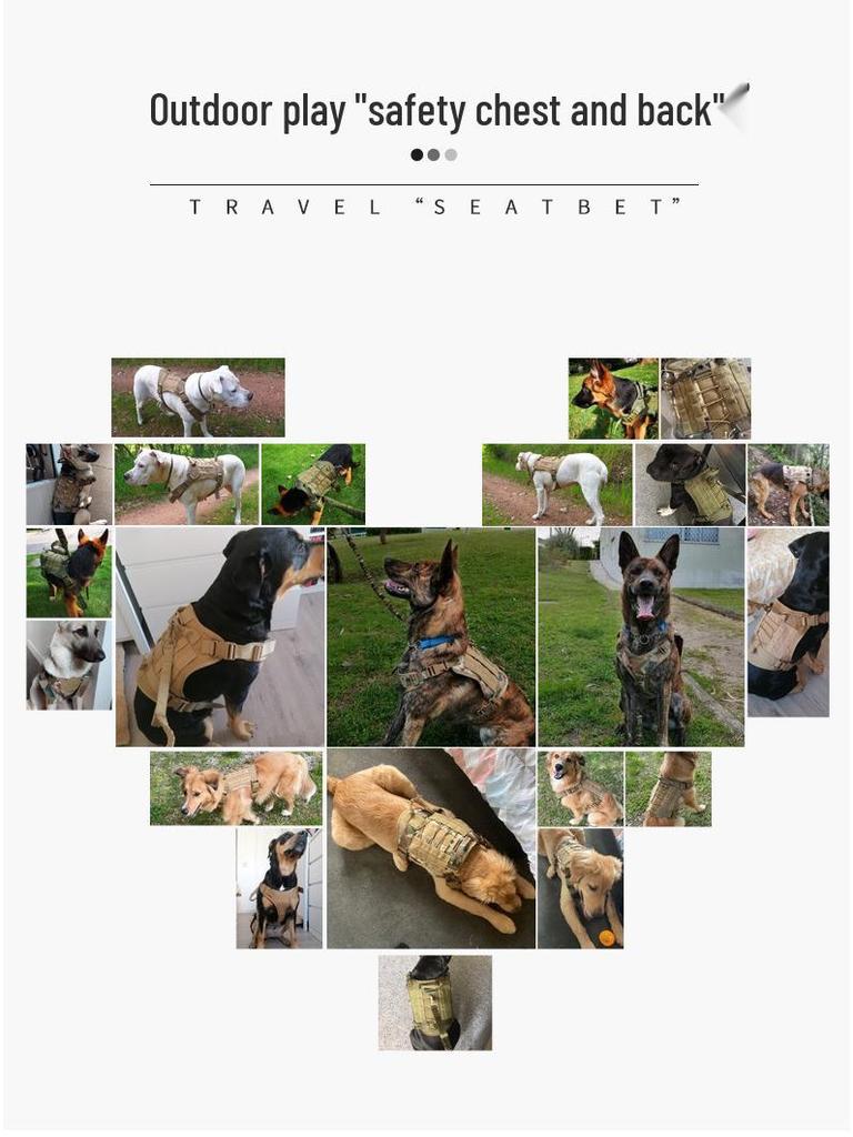 Тактическая нейлоновая шлейка для собаки с поводком для тренировок на открытом воздухе