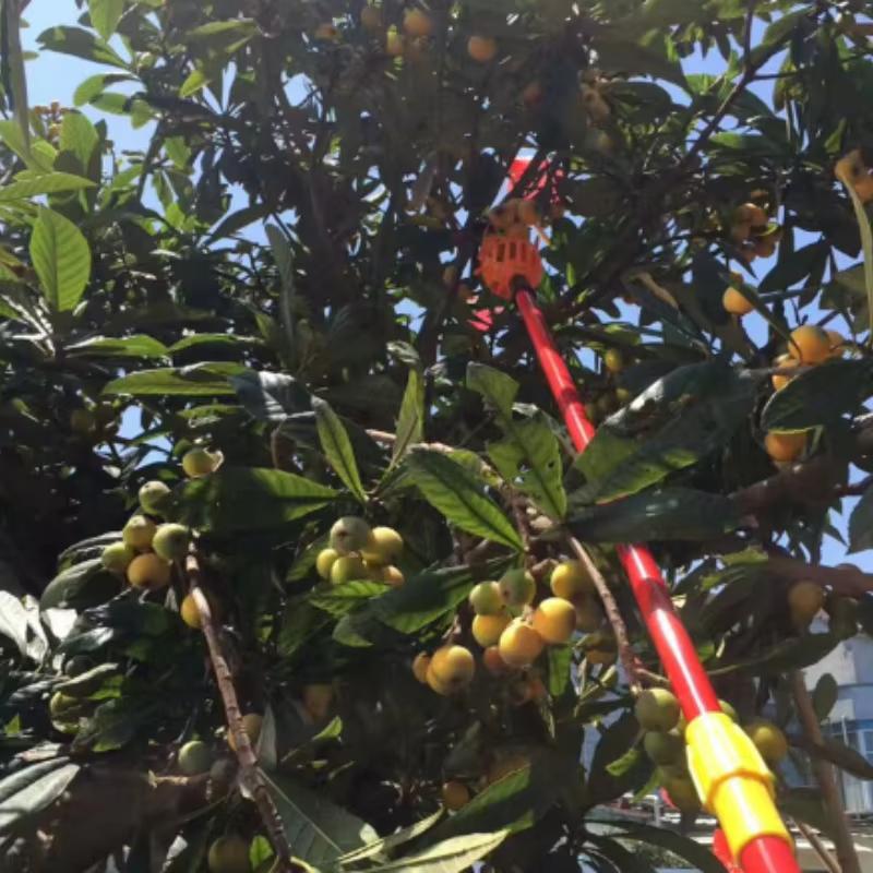 1/2 шт. Сборщик фруктов Садовый ручной инструмент Пластиковый захват для сбора яблок, водяники, цитрусовых, груш, персиков Ручные инструменты Сельскохозяйственные аксессуары