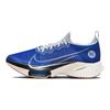 Nike Кроссовки Air Zoom Tempo NEXT% Flyknit 'Blue Ribbon Sports' повседневные DV2147-400