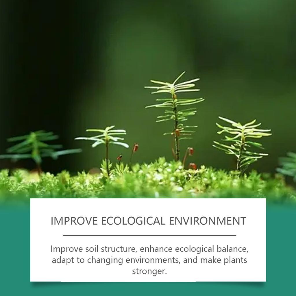 Plant Growth Fertilizer Sticks Slow Release Fertilizer Nutrition Seaweed Fertilizer Plant Growth Gardening Fertilizer Sticks