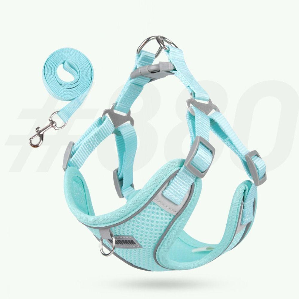 Lightweight Dog Harness and Leash Set Quick Dry Adjustable Dog Harness Pet Walking