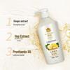 Fenghua Ginger Healthy Hair Shampoo & Conditioner Set