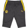 Футбольные брюки Borussia Dortmund 2021-22 с цветным логотипом и эластичным поясом, прямые, унисекс, черные 759145-04