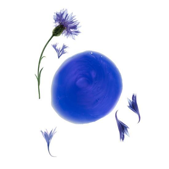 Klorane Centery Шампунь против желтизны 400 мл (Дополнительный цветной шампунь)