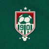 Li-Ning Дисней Ледяное Ощущение Свободная Круглый Вырез Логотип Буквы Парная Футболка Унисекс Топы AHSW309-3